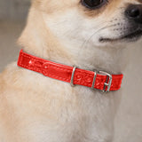 Collar para Mascota, Vinil, Color Rojo