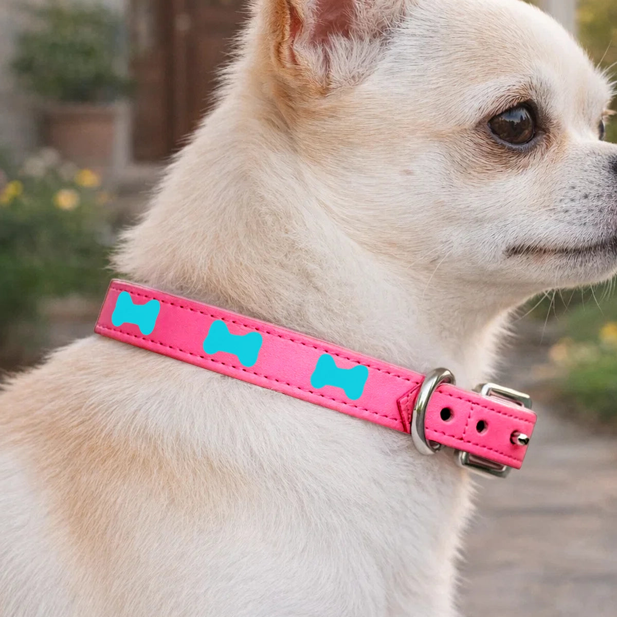 Collar para Mascota, Vinil, Color Rosa y Azul