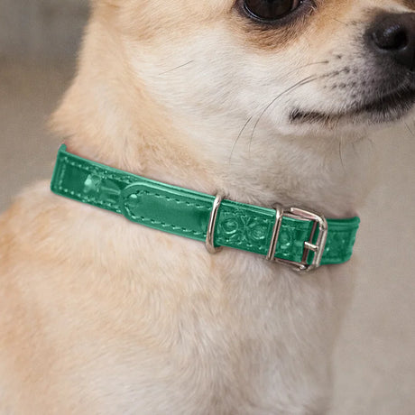 Collar para Mascota, Vinil, Color Verde Oscuro