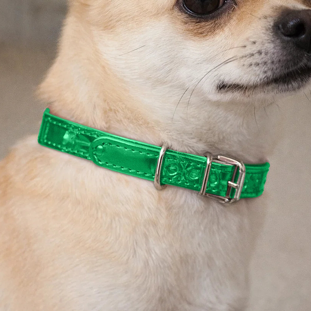 Collar para Mascota, Vinil, Color Verde Claro