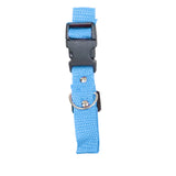 Collar para Mascota, Color Azul