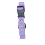 Collar para Mascota, Color Lila