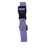 Collar para Mascota, Color Morado
