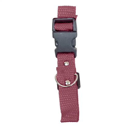 Collar para Mascota, Color Vino