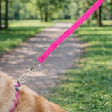 Correa para Mascota, Color Rosa
