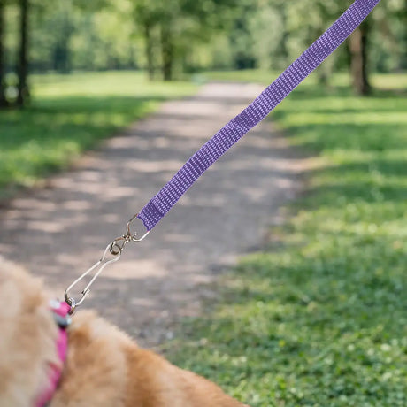 Correa para Mascota, Color Morado