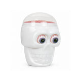 Calavera con Dulces Surtidos