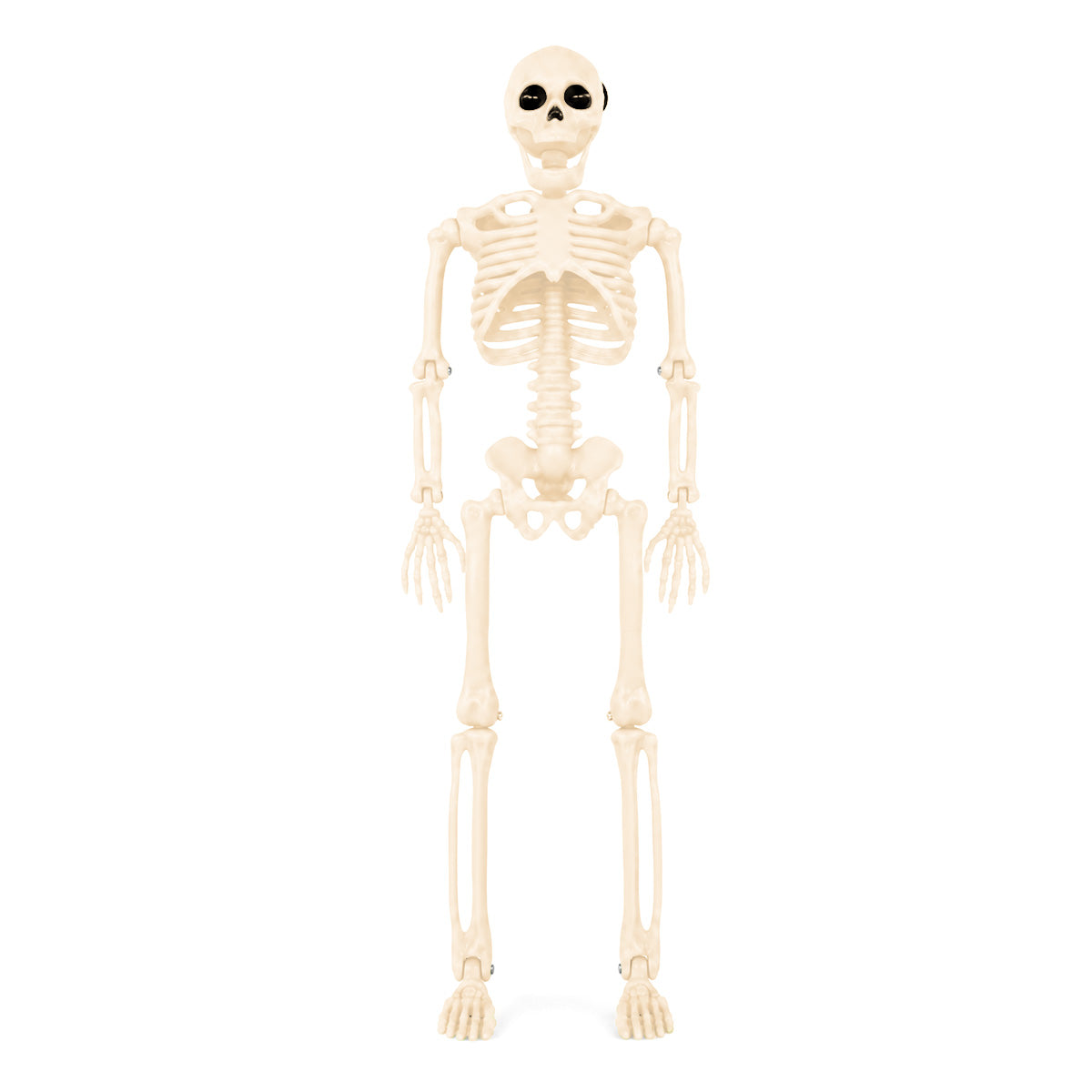 Esqueleto Decorativo para Halloween