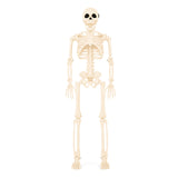Esqueleto Decorativo para Halloween