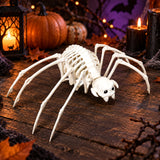 Araña Esqueleto para Halloween