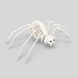 Araña Esqueleto para Halloween