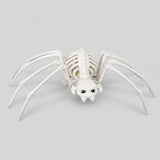 Araña Esqueleto para Halloween