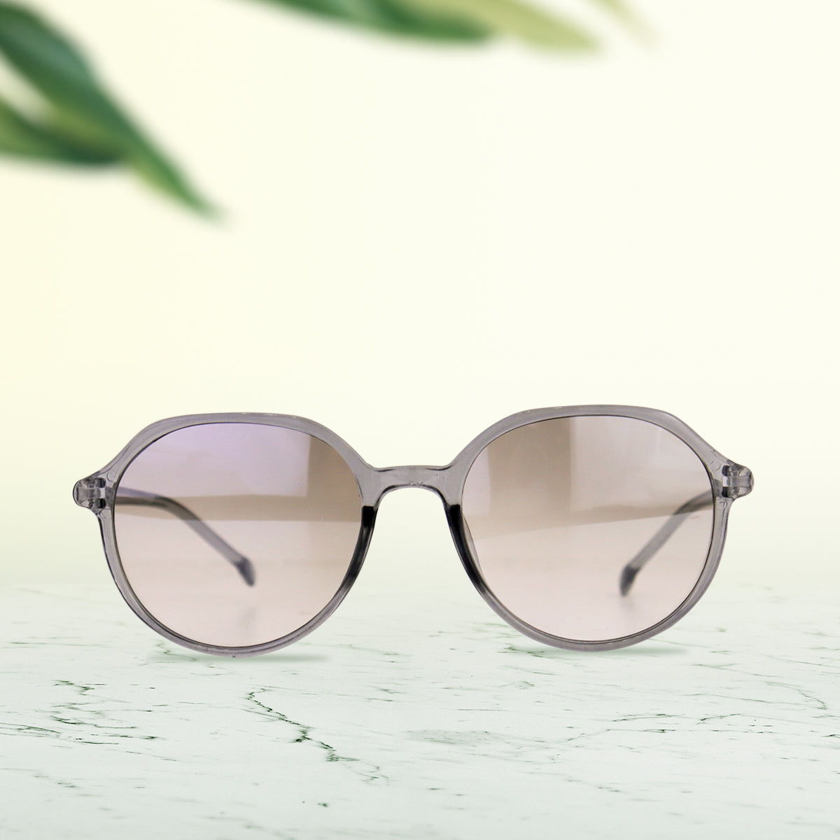 Lentes de Sol con Marco Ovalado Transparente