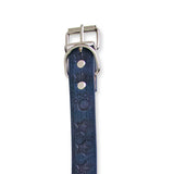 Collar para Perro Estrellas y Huesos color Azul