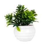 Planta Artificial de Buxus en Maceta color Blanco