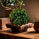 Pasto Circular Decor 13cm