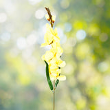 OrquÃ­dea Artificial