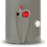 Boiler Calentador de Agua Rheem 38 Litros 1 Servicio Gas LP 29V10SP