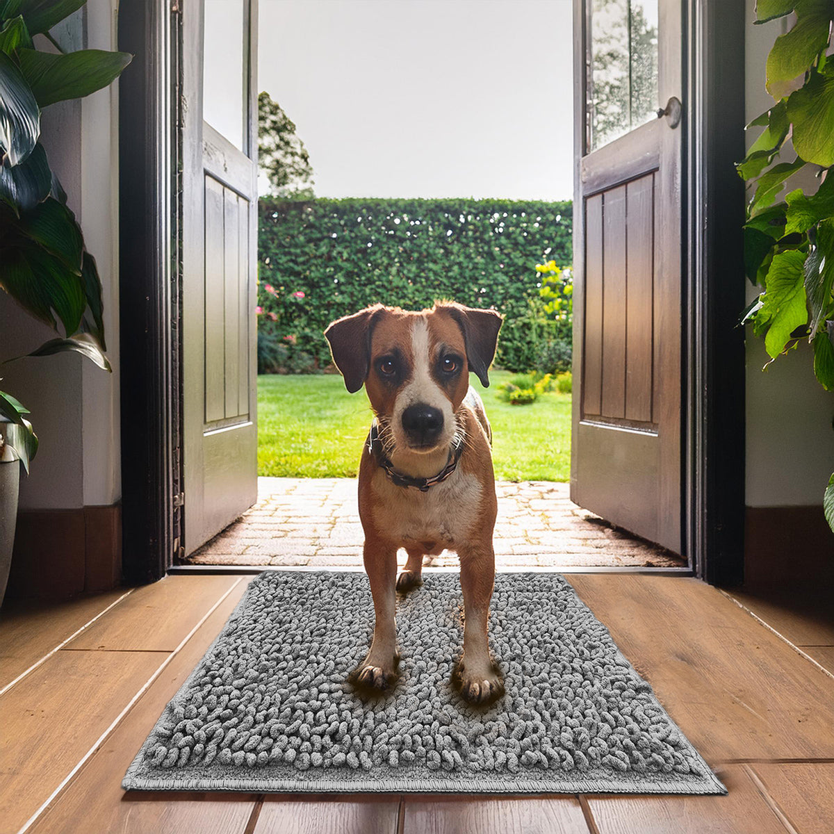TAPETE CHENILLE CLEAN MAT PARA MASCOTA 50X80CM