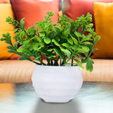 Planta Artificial con Maceta Blanca, 12 cm