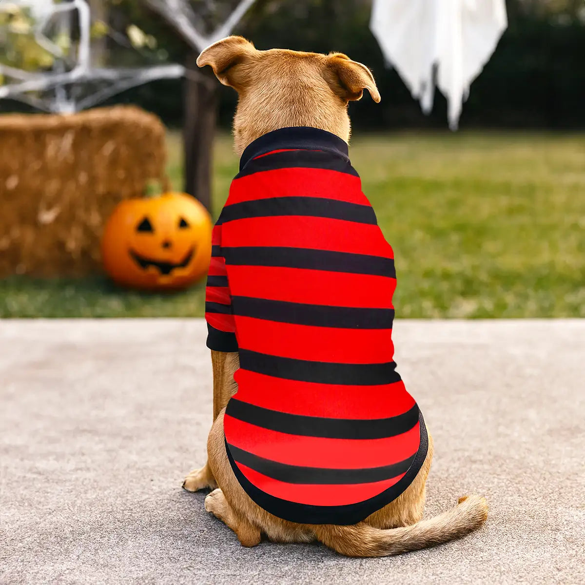 Rayas, Disfraz para Mascota, Talla Chica