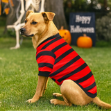 Rayas, Disfraz para Mascota, Talla Chica