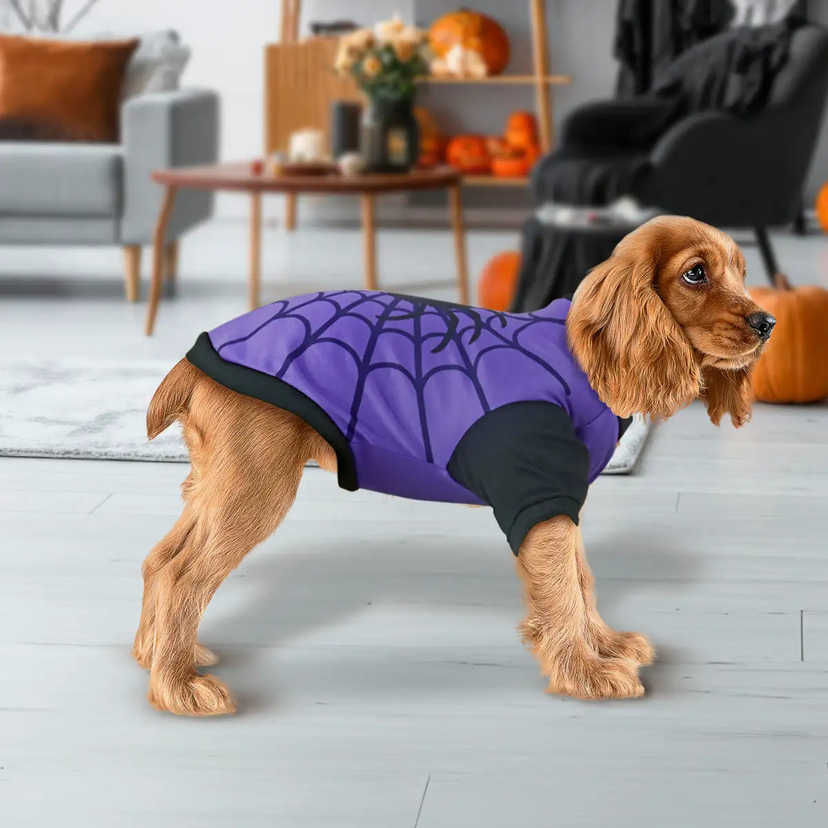 Telaraña, Disfraz para Mascota, Talla Mediana