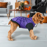 Telaraña, Disfraz para Mascota, Talla Chica