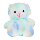 Osito de Peluche, Color Verde