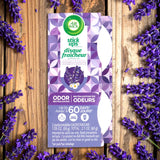 Neutralizador de Olores, Air Wick, Aroma Lavanda