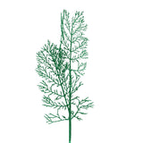 Rama Decorativa, Glitter, Color Verde, 70 cm