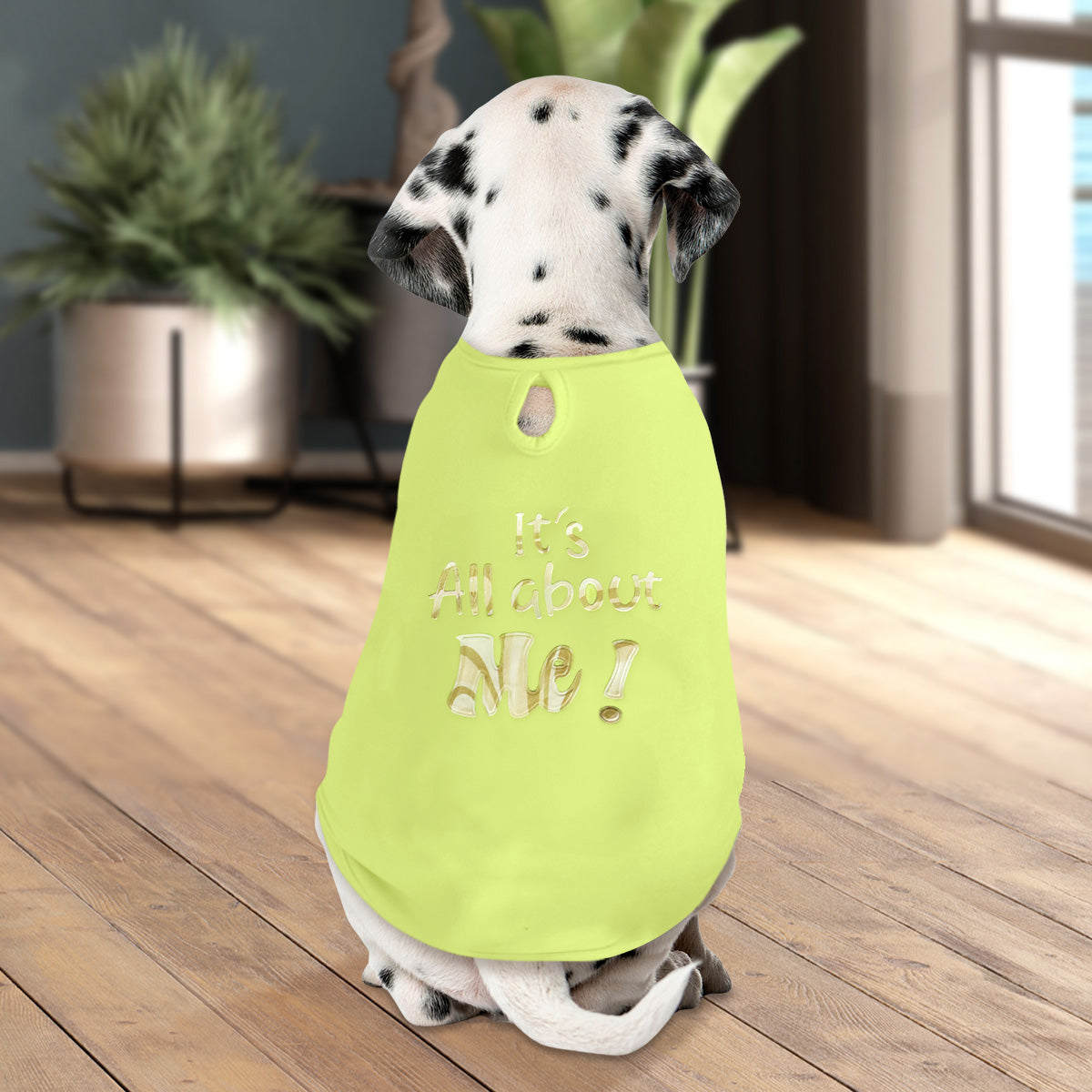 Ropa para Mascota "It's all about me"