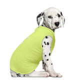 Ropa para Mascota "It's all about me"