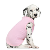 Ropa para Mascota, Color Rosa