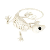 Reptil, Esqueleto para Decoración de Halloween