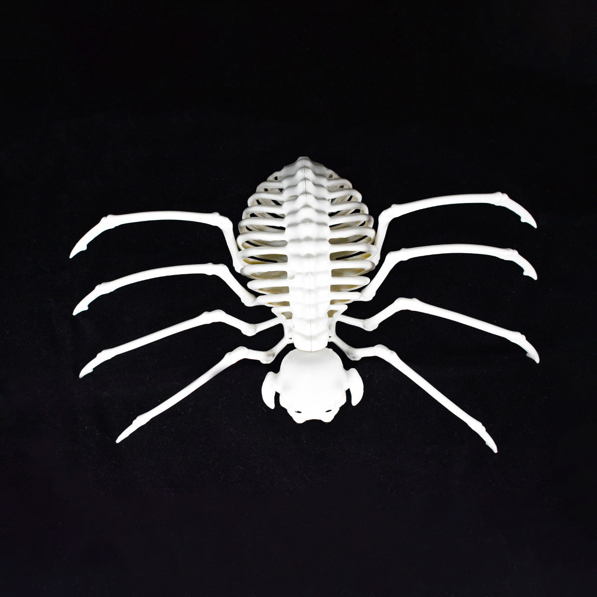 Figura de Araña Decorativa