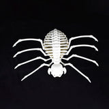 Figura de Araña Decorativa