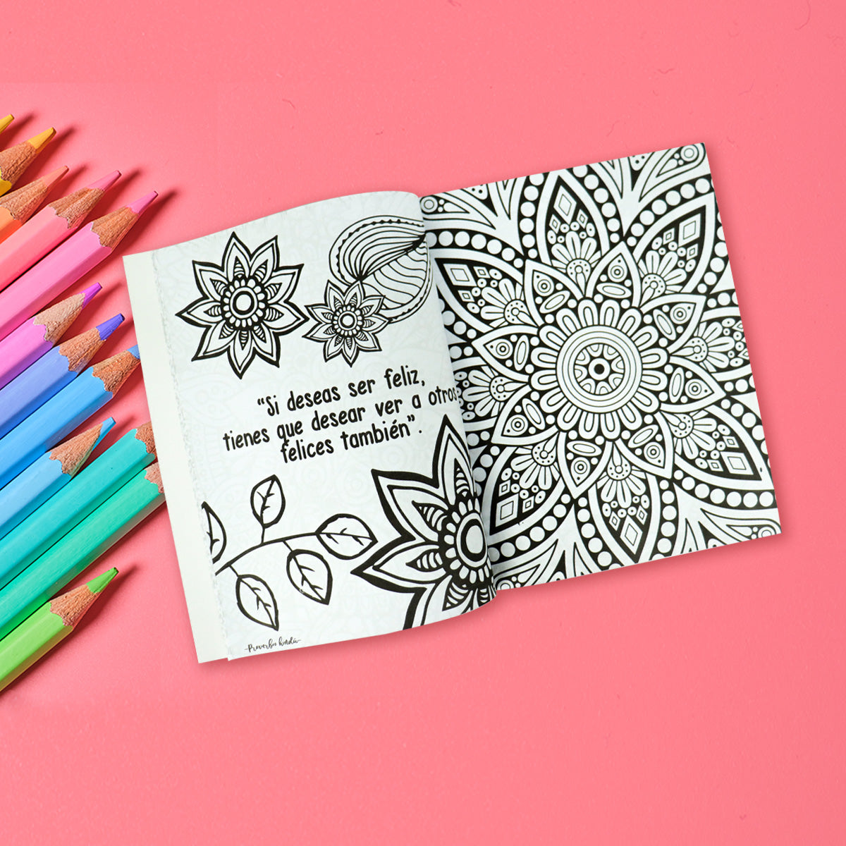 Libros de Mandalas para Colorear