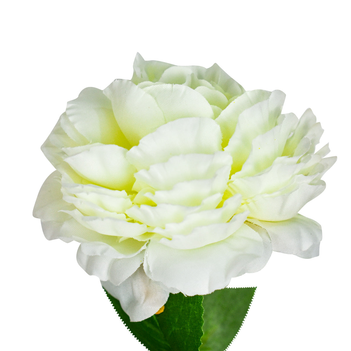Rosa artificial