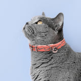 Collar para Mascota color Rosa 30cm